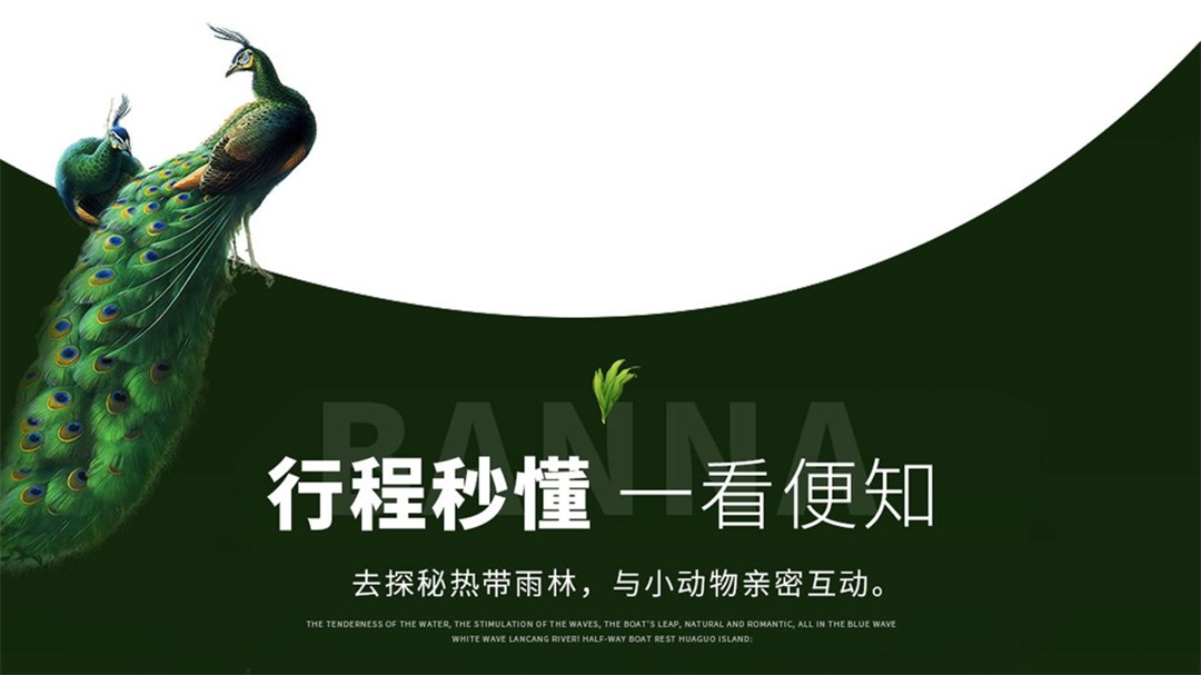 云南-昆版纳六天五晚(图4)