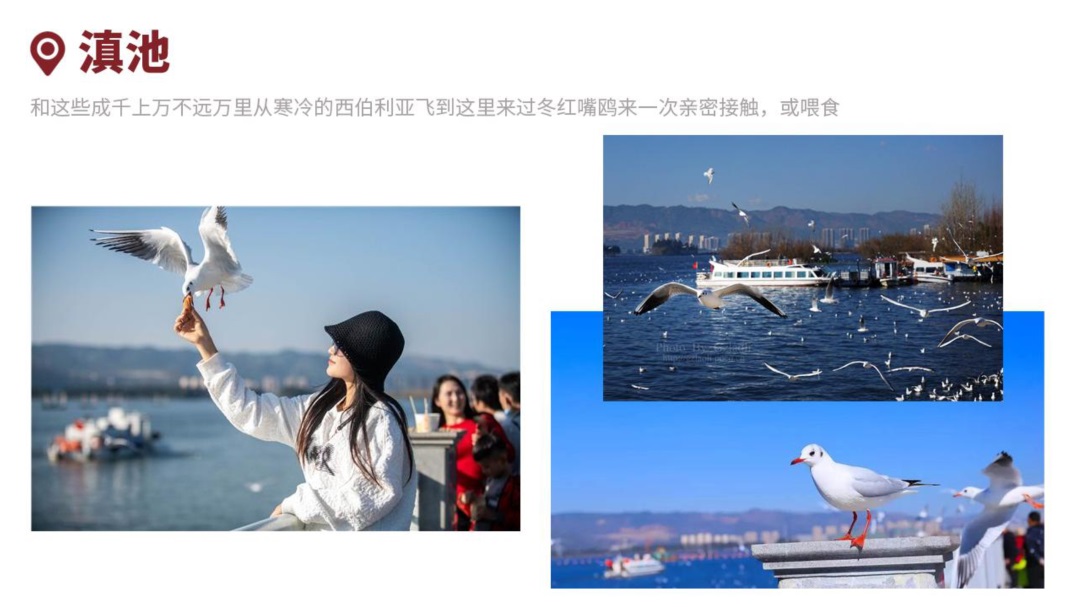 云南-昆版纳六天五晚(图20)