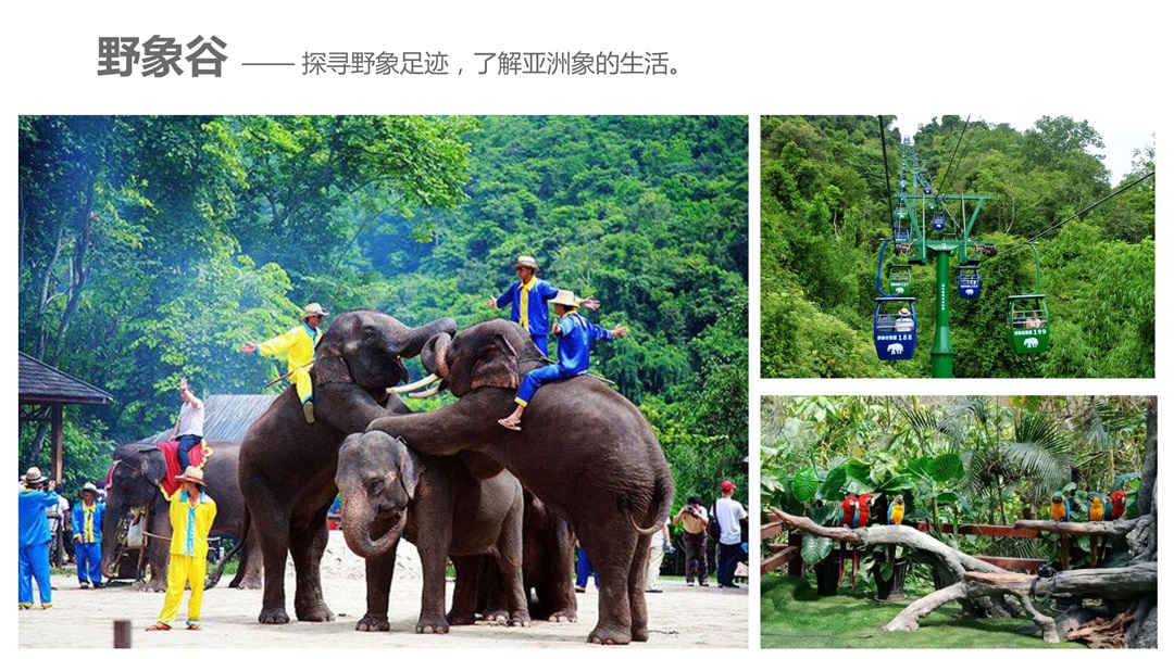 云南-昆版纳六天五晚(图23)