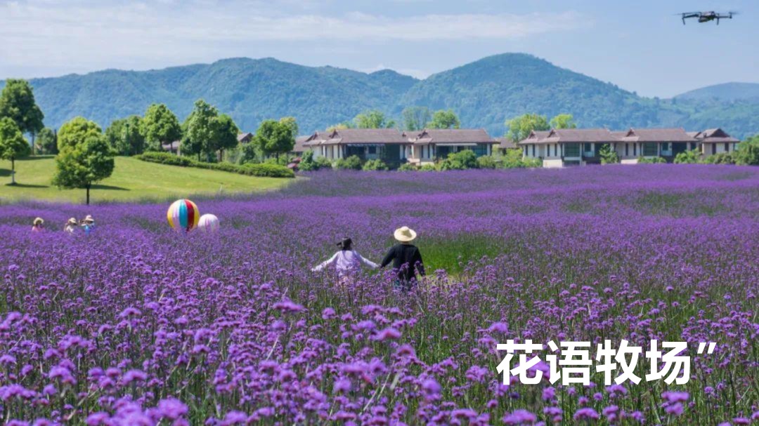 云南-昆大腾6天5晚(图18)