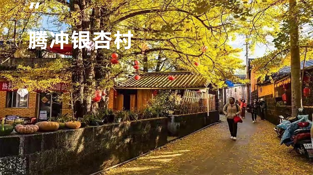 云南-昆大腾6天5晚(图28)