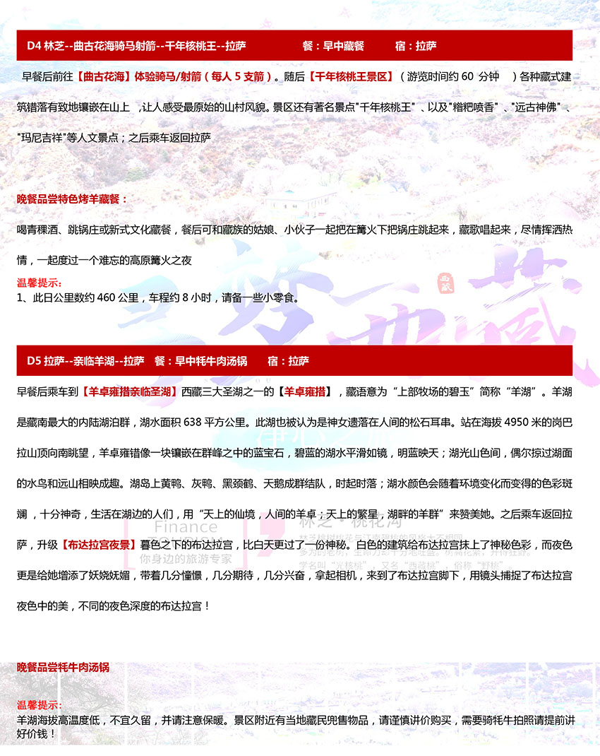 全民西藏游-寻梦西藏净心之旅深圳(图19)