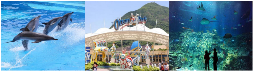 HK11香港高端纯玩观迪海三天游（香港观光+迪士尼+海洋公园）(图13)